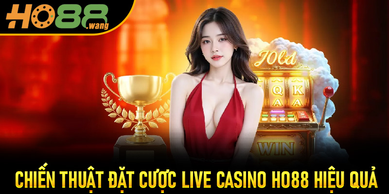 Chiến thuật đặt cược Live Casino Ho88 hiệu quả